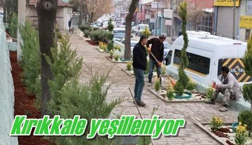 Kırıkkale yeşilleniyor