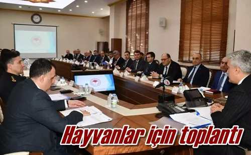 Hayvanlar için toplantı