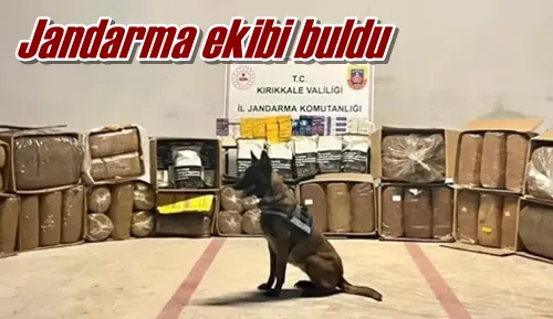 Jandarma ekibi buldu