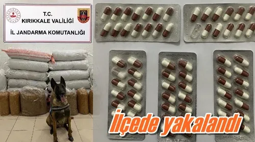 İlçede yakalandı
