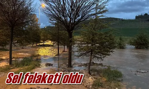 Sel felaketi oldu