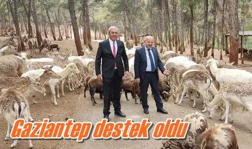 Gaziantep destek oldu