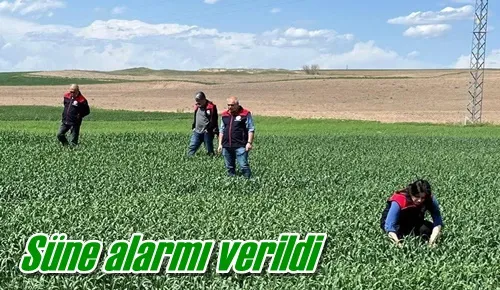 Süne alarmı verildi