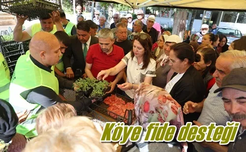 Köye fide desteği