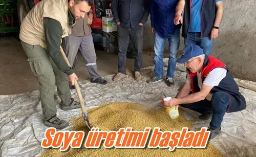 Soya üretimi başladı