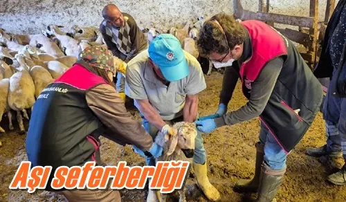 Aşı seferberliği 