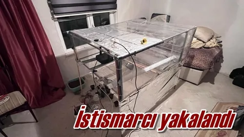 İstismarcı yakalandı