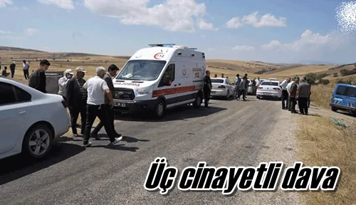 Üç cinayetli dava