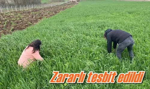 Zararlı tesbit edildi