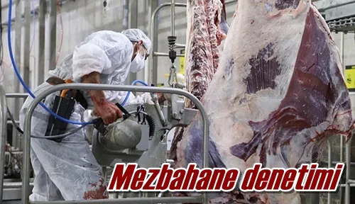 Mezbahane denetimi