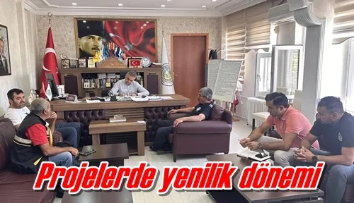 Projelerde yenilik dönemi