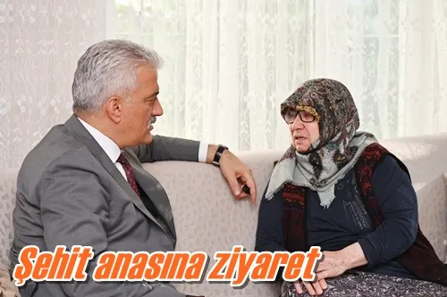 Şehit anasına ziyaret