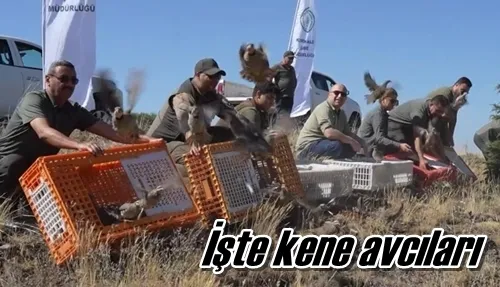 İşte kene avcıları