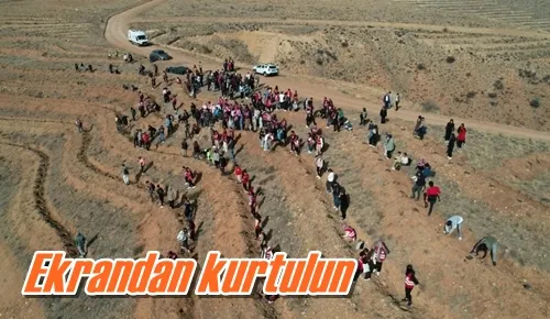 Ekrandan kurtulun
