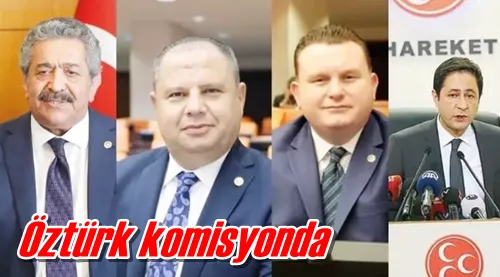 Öztürk komisyonda