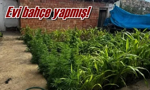 Evi bahçe yapmış!