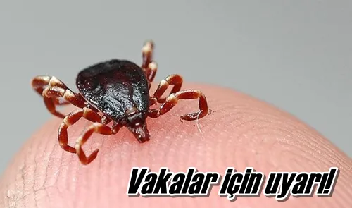Vakalar için uyarı!