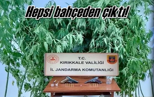 Hepsi bahçeden çıktı!
