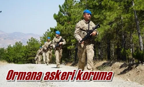 Ormana askeri koruma