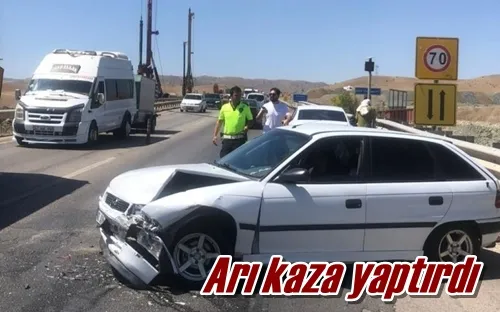 Arı kaza yaptırdı