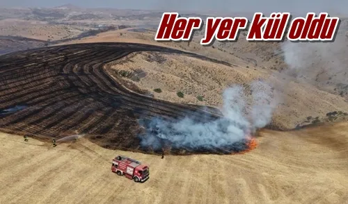 Her yer kül oldu