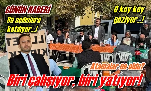 Biri çalışıyor, biri yatıyor!