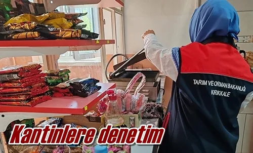 Kantinlere denetim