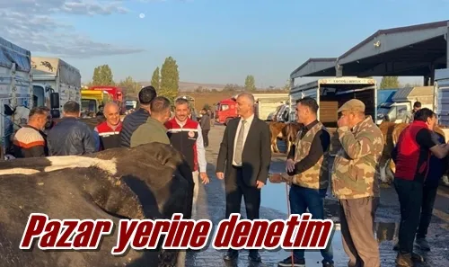 Pazar yerine denetim