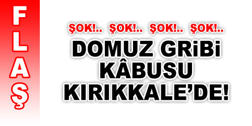 Son Dakika! Domuz Gribi Kırıkkale`de