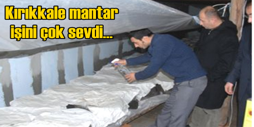 Mantar Yetiştiriciliği Artıyor