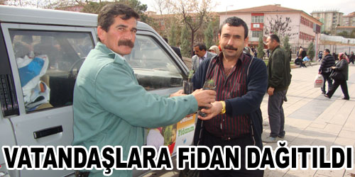 Ücretsiz Fidan Dağıtıldı