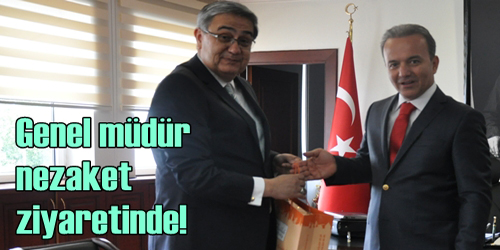 Nezaket Ziyareti