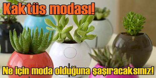 Radyasyon Önlüyor Diye!