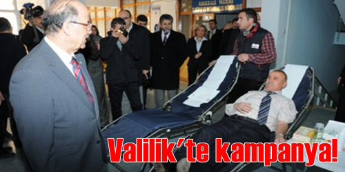 Valilik
