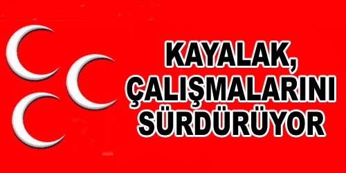 KAYALAK Yoğun Kar Yağışında da Çalışıyor