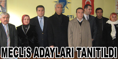 AKP Meclis Aday Adayları