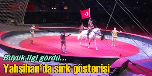 İlçede sirk gösterisi