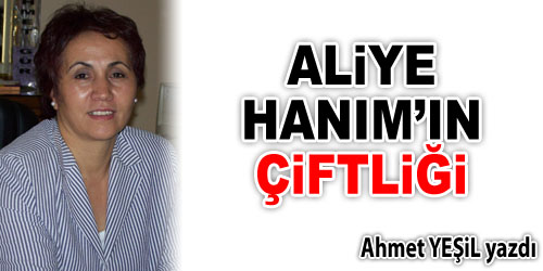 Aliye Hanım`ın Çiftliği