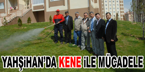 Yahşihan`da Kene İle Savaş
