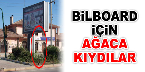 Ağaç, Bilboard Kurbanı Oldu