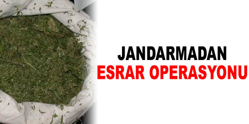 Kırıkkale`de Esrar Operasyonu