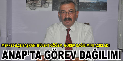 Merkez İlçede Görev Dağılımı