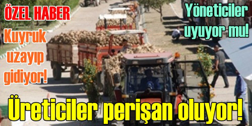 YÖNETİCİLER UYUYOR MU?