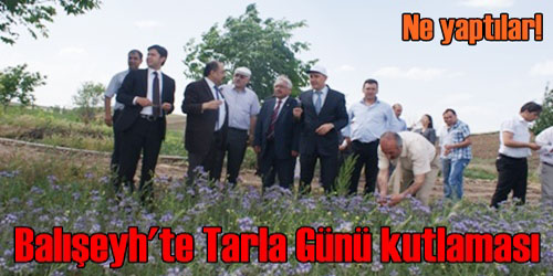 Balışeyh