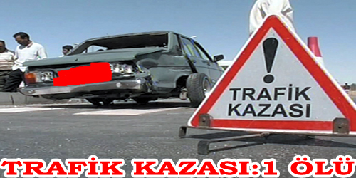 Trafik Kazası:1 Ölü