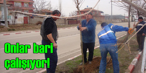BAHAR ÇALIŞMASI DEVAM EDİYOR