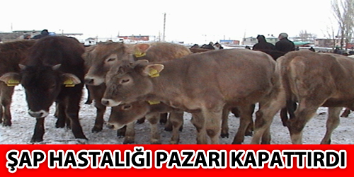 Şap Hastaliği Pazari Kapattirdi