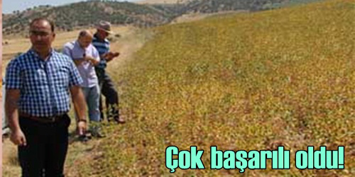 Önemli Gelişme