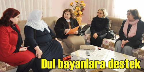 Dul Bayanlara Destek