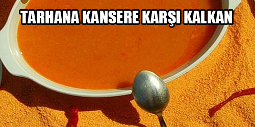 TARHANA KANSERE KARŞI KALKAN